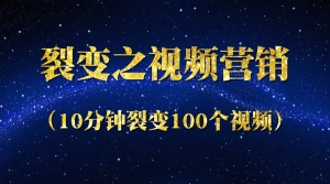 裂变之视频营销10分钟裂变100个视频-季度课
