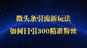 微头条引流新玩法如何日引300精准粉丝！