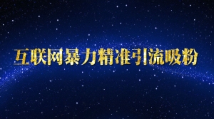 互联网暴力精准引流吸粉3万+