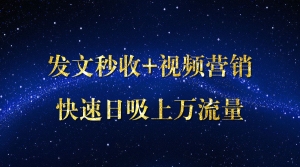 发文秒收快速日吸上万流量共17节