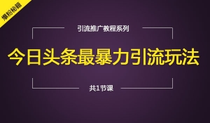 头条最暴力引流玩法日吸500+精准粉