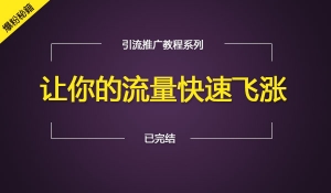 让你的粉丝快速飞涨价值1980