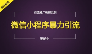 微信小程序暴力引流（软件已打包)