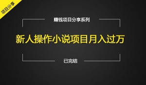 小说项目赚钱秘籍新人操作月入过万