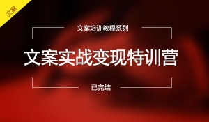 文案实战变现特训营