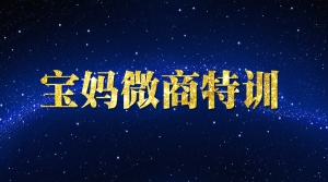 宝妈微商特训