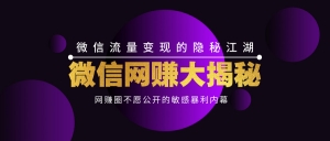 微信网赚大揭秘共75节