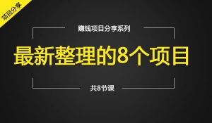 某大咖会项目分享第22期