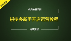 拼多多新手开店运营教程（共13课）