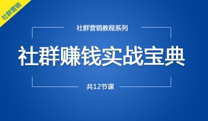 社群赚钱实战宝典打造年入百万的个人IP与社群