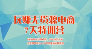 玩赚无货源电商7天特训营
