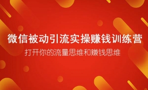 7天被动引流赚钱特训