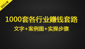 1000套各行业赚钱套路，文字+案例图+实操步骤