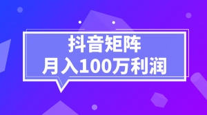 抖音矩阵月入100万利润