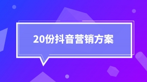 20份抖音营销方案