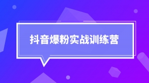 抖音爆粉实战训练营