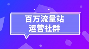 百万流量站运营社群