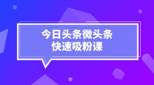 今日头条微头条快速吸粉课