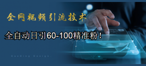 全网视频引流技术教程，全自动日引60-100精准粉！