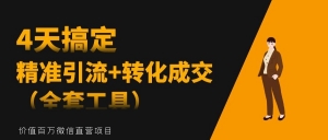4天搞定精准引流+转化成交（全套工具）