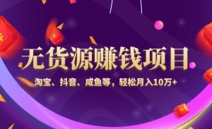 5个无货源赚钱项目​轻松月入10万+