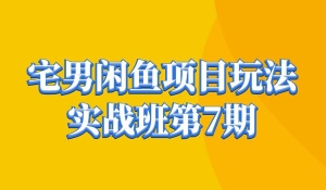 宅男闲鱼转转项目玩法实战班 线上第七期