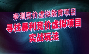 寻找暴利竞价虚拟项目实战玩法，竞价虚拟教育项目