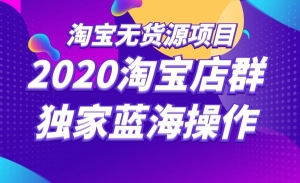 2020淘宝店群 独家蓝海操作