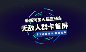 天猫直通车无敌人群卡首屏拿大流量玩法-震撼发布