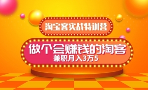 2024淘宝客实战特训营年度版