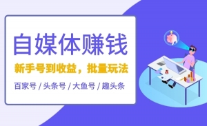 自媒体赚钱项目，从0到1，新手号到收益，批量玩法！