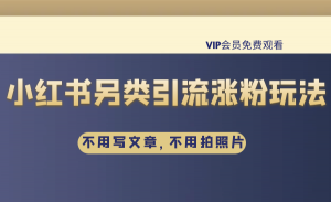 不用写文章，不用拍照片，小红书另类引流涨粉玩法