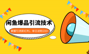 闲鱼爆品引流技术1.0，掌握引流新红利，单日进粉200+