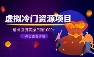 虚拟冷门资源项目，精准引流实操日赚1000+（价值699元）
