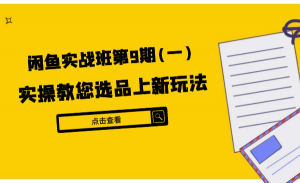 闲鱼实战班第9期（一）:实操教您选品上新玩法，虚拟类与实物类裂