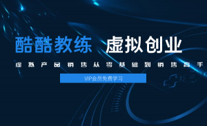虚拟产品销售从零基础到销售高手2.0