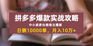 拼多多爆款实战攻略：中小卖家也能做出爆款，日销10000单