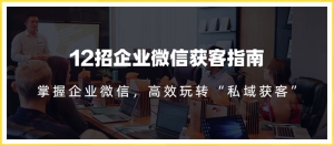12招企业微信获客指南：链接11亿微信用户，提前把握企业新机遇