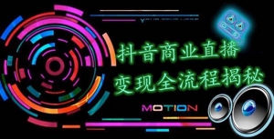 抖音商业直播变现全流程揭秘：日销20000单20天创收688万（含无人直播教程）1