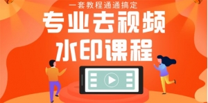 专业去视频水印教程 静态水印、动态、文字、图片水印等等