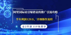 阿里国际站引爆销量的推广引流攻略，半年利润120万，详细操作流