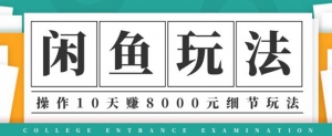 闲鱼项目玩法实战班第12期，操作10天左右利润有8000元细节
