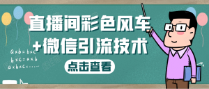 直播间彩色风车➕微信引流技术
