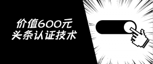 价值600元头条认证技术
