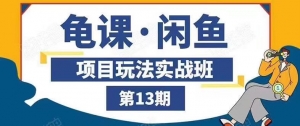 龟课.闲鱼项目玩法实战班第13期：从0到N+方法
