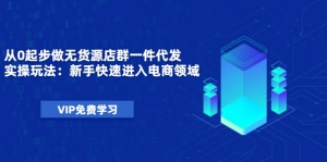 0起步做无货源店群一件代发实操玩法：新手快速进入电商领域