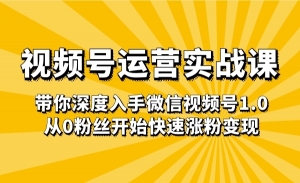 视频号运营实战课，带你深度入手微信视频号1.0，从0粉丝开始快速涨粉变现