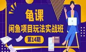 闲鱼项目玩法实战班第14期
