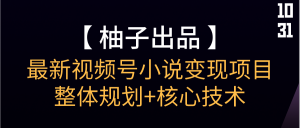 【柚子】最新视频号小说变现项目整体规划+核心技术