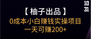 【柚子】0成本小白赚钱实操项目，一天可赚200+